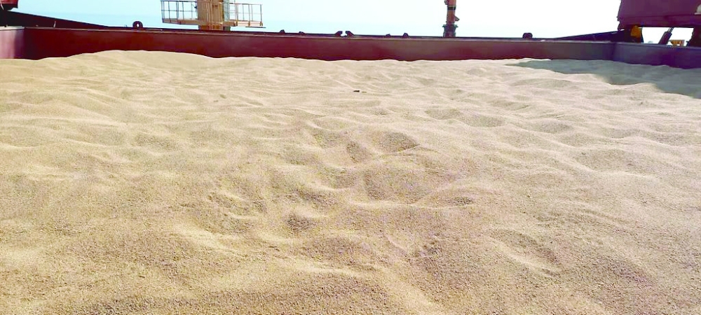 بعد غدٍ.. وصول 32 ألف طن من القمح الأوكراني.. و40 ألفا من أستراليا الشهر المقبل