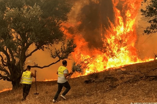 Oman condoles Algeria on wildfires victims