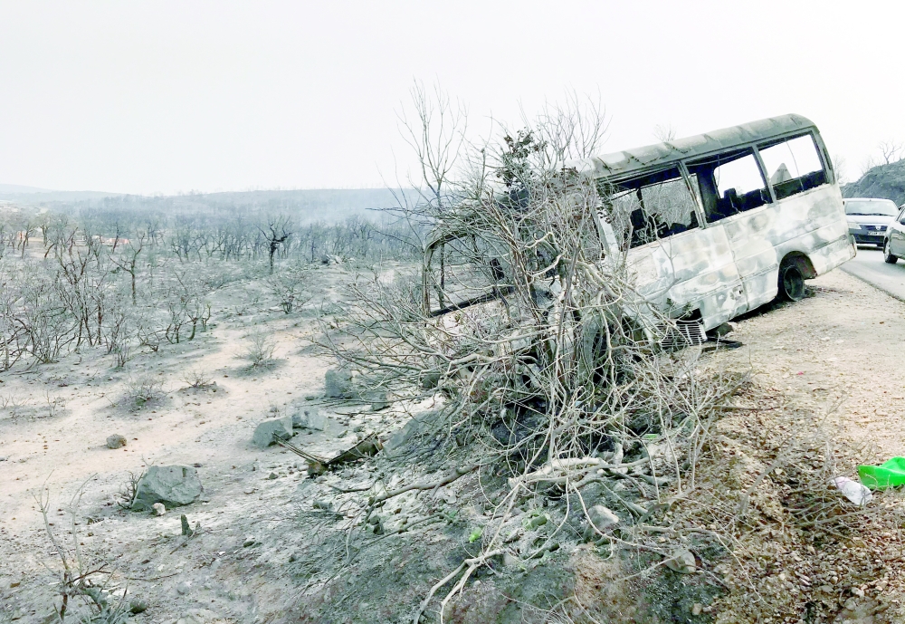 حصيلة الضحايا ترتفع إلى 38 قتيلًا
فتح تحقيقات قضائية حول حرائق الغابات في الجزائر