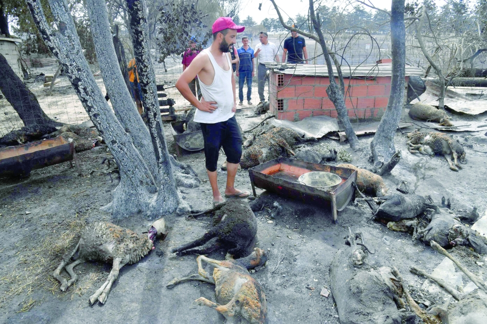 بعد أن أودت بحياة 38 شخصا
حرائق الجزائر “تحت السيطرة” .. وحملة تضامن لمساعدة المتضررين