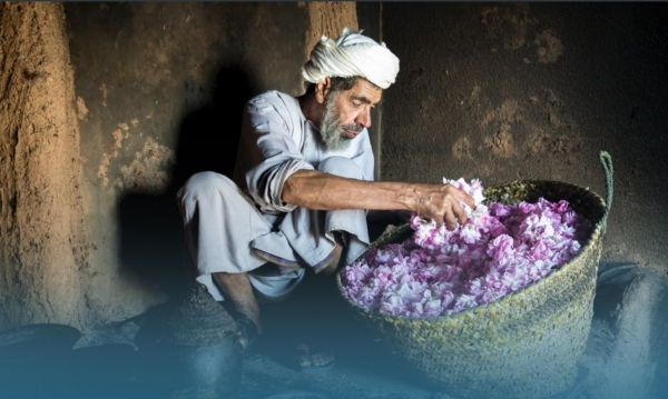 Al Jabal Al Akhdhar festival to boost domestic tourism