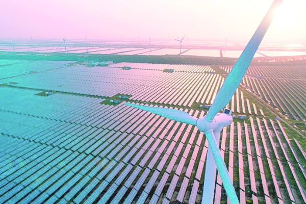 450 sq km of land in Dhofar under study for green projects