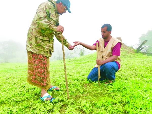 One million seeds planted across Dhofar Governorate