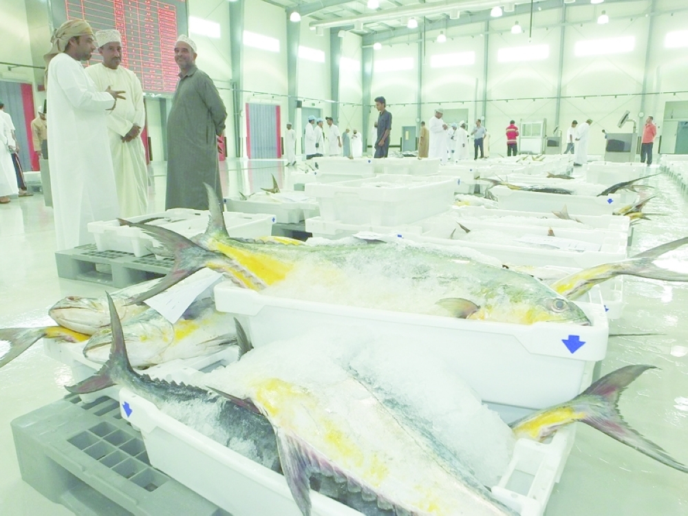 10.4 ألف طن كمية الأسماك المنزلة من خلال الصيد الحرفي في مسقط