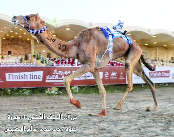 Golden sword festival to start on Saturday