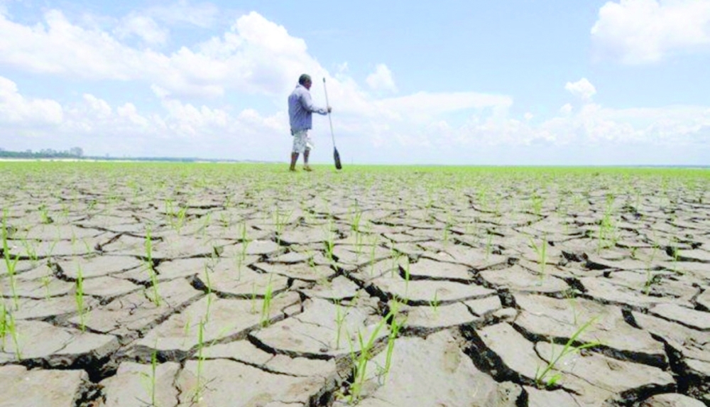 “العالمية للأرصاد الجوية”:
القرن الأفريقي في طريقه إلى الموسم الخامس دون أمطار