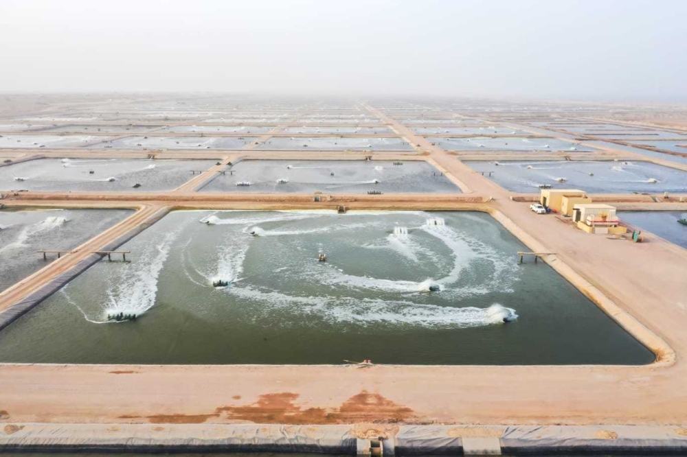 102 مشروع عززت منظومة الأمن الغذائي في سلطنة عمان