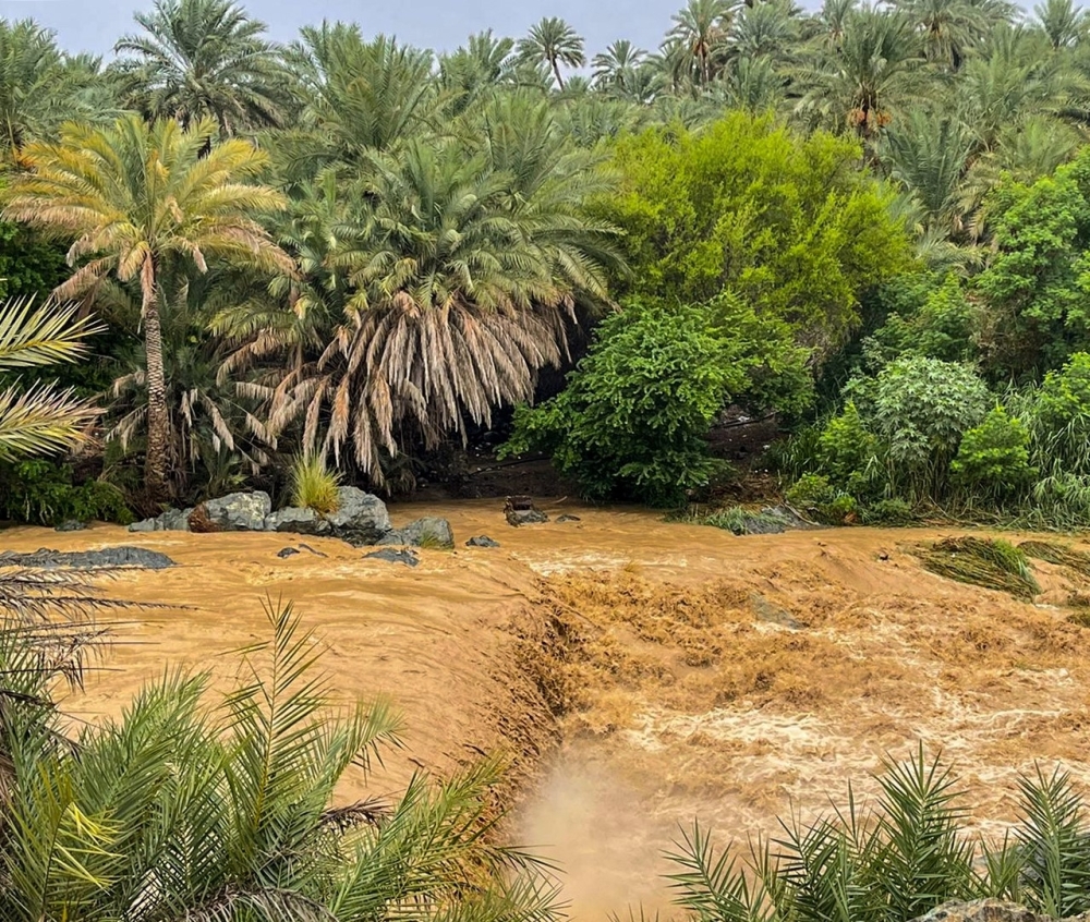 قانون للتغيرات المناخية واستراتيجية وطنية للتخفيف والتكيف معها