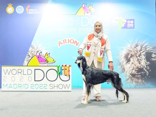 The world of Salukis in Oman