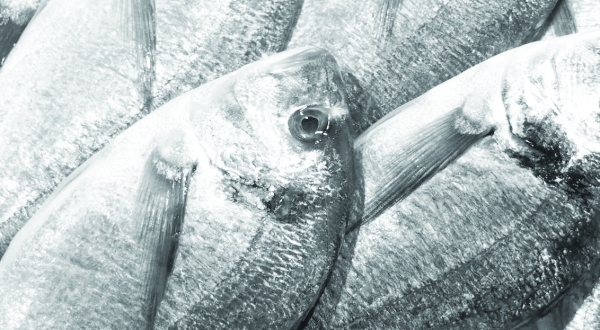 Agriculture and fisheries sectors together account for 2.5% of GDP