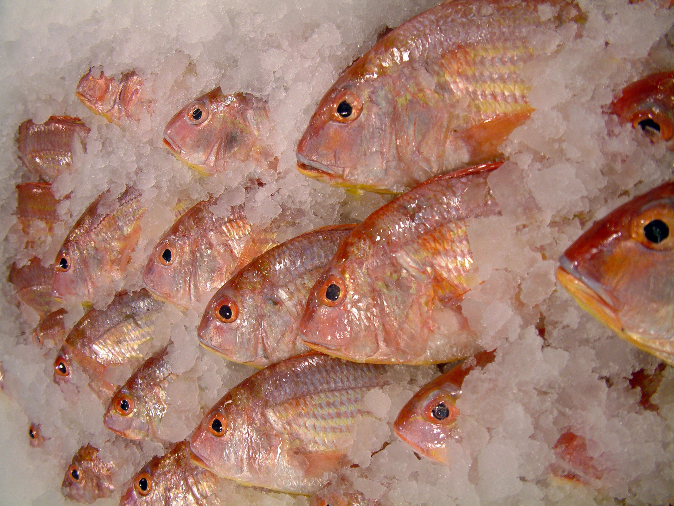 62f88a8024486 scaled