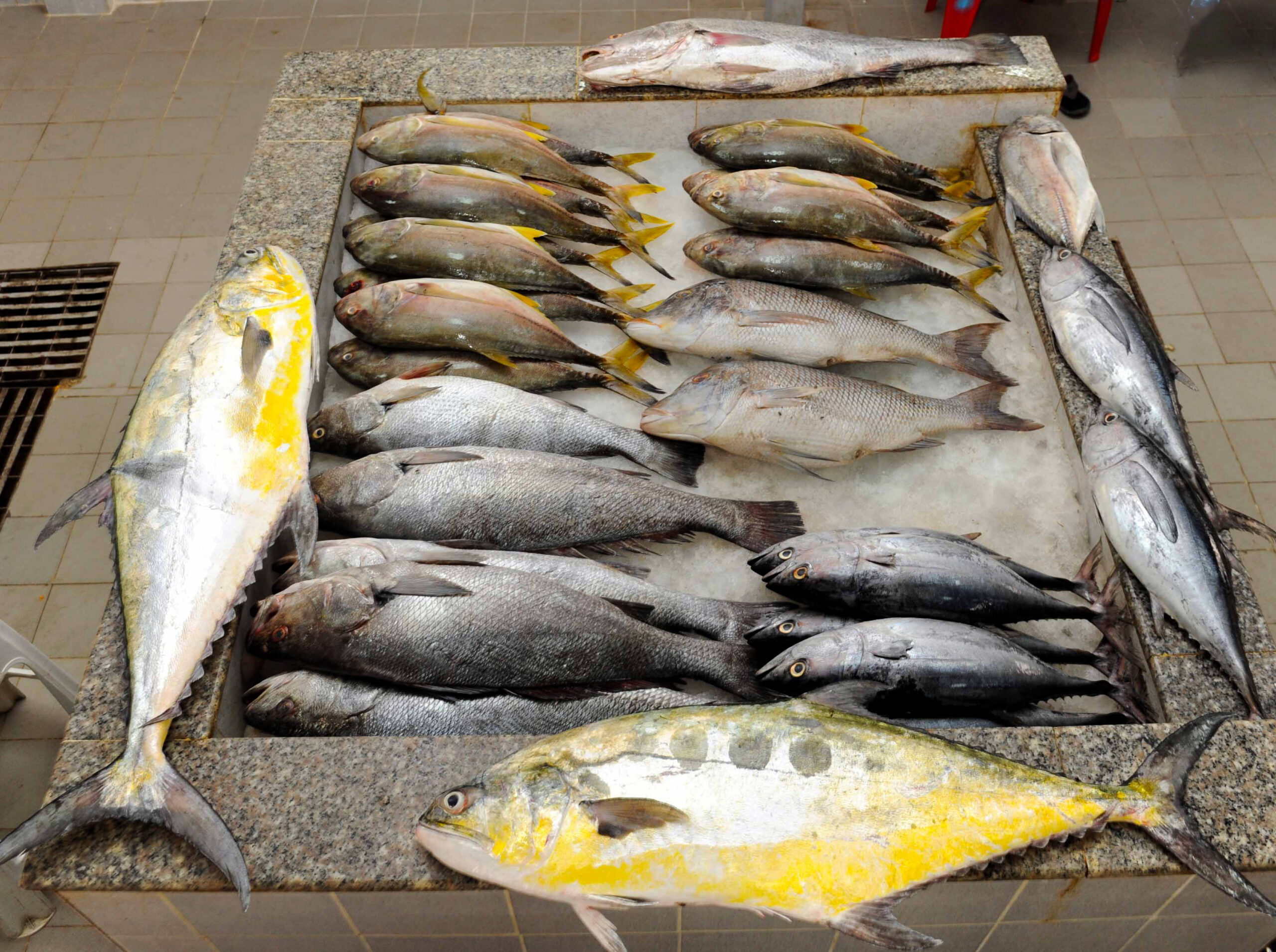 62f88a802ae40 scaled