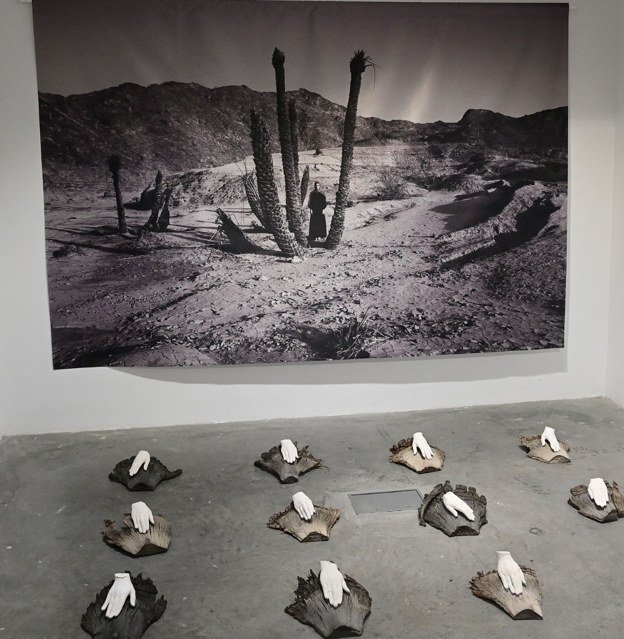 صالة ستال للفنون تستضيف الأعمال المشاركة في مسابقة الفنانين الواعدين 2022