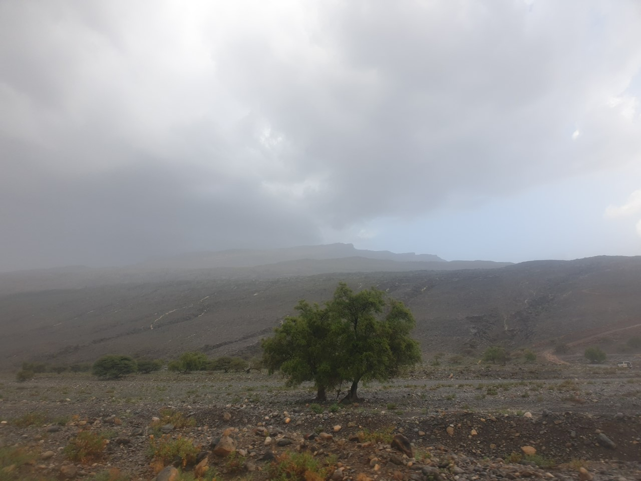 هطول أمطار على ولاية الحمراء