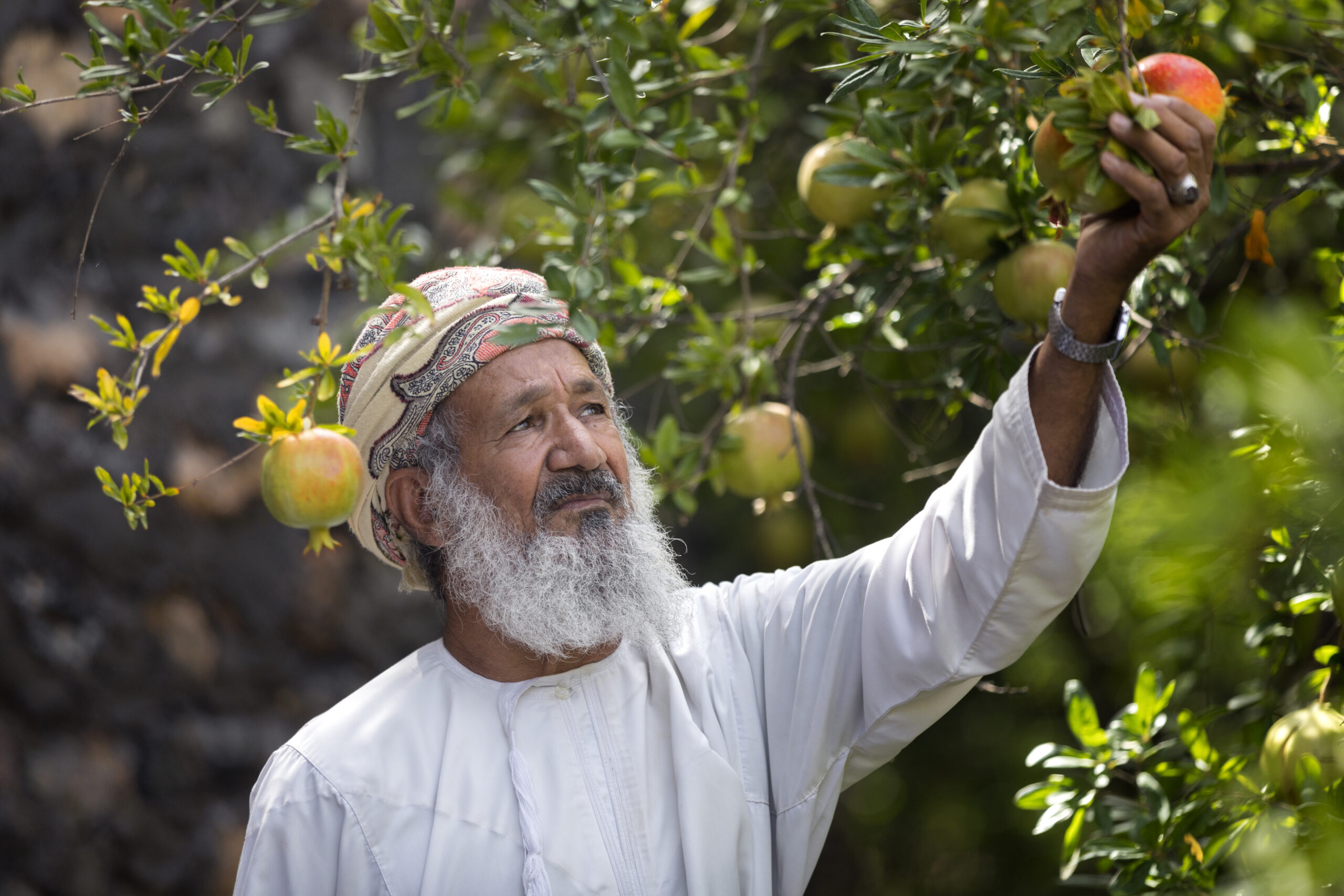 62fe2a2c87148 scaled