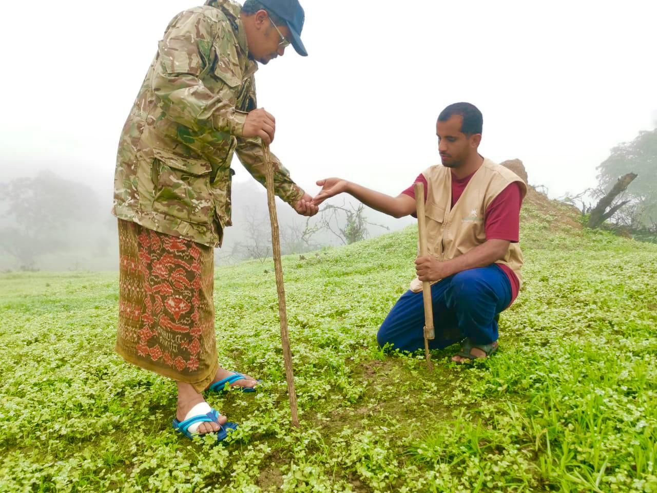 غرس أكثر من مليون بذرة من الأشجار في محافظة ظفار