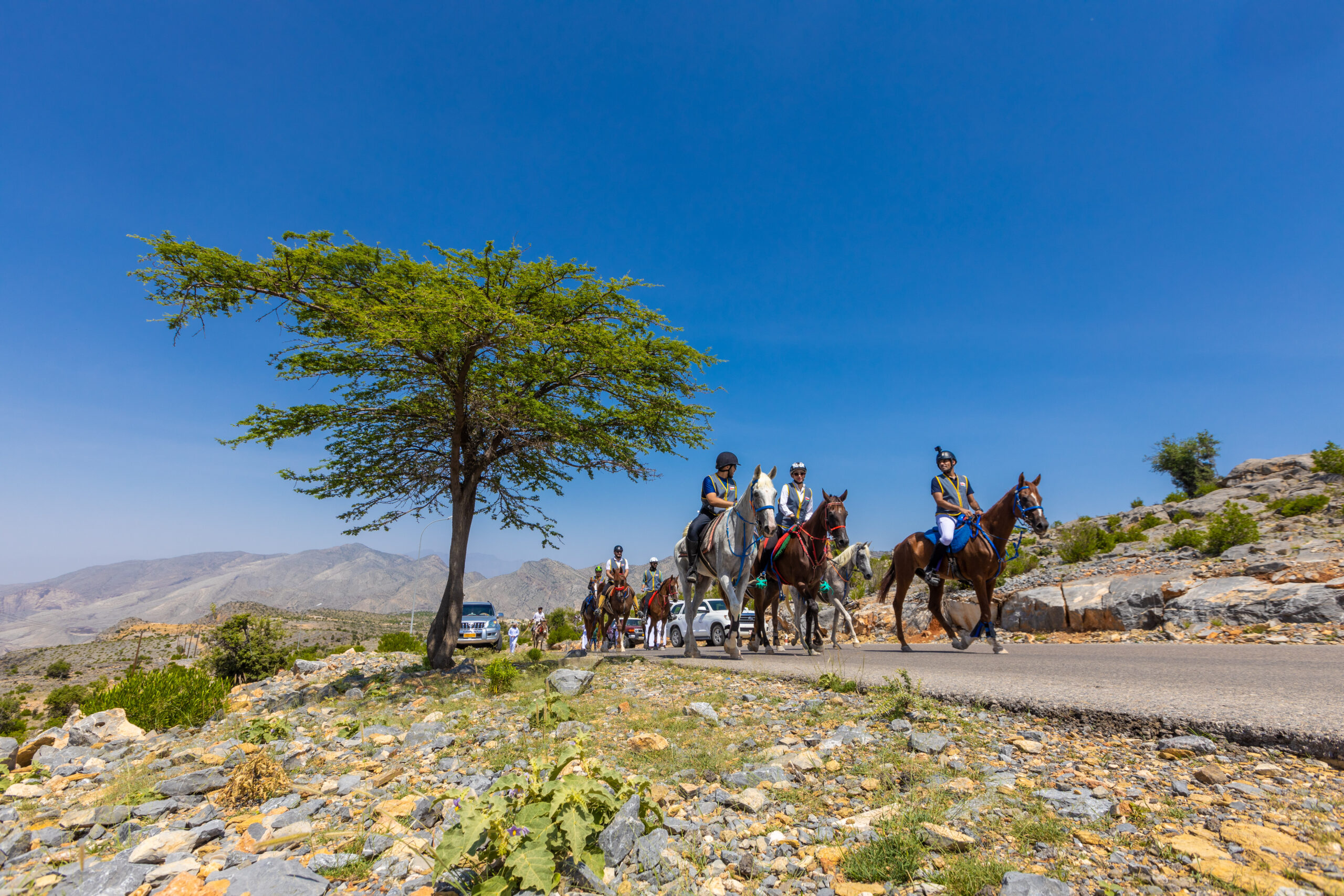 انطلاق فعاليات مهرجان الجبل الأخضر السياحي