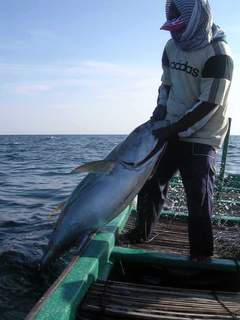 الصيد الحرفي في محافظة مسقط يحقق ارتفاعًا بنسبة 18 بالمائة 2 6305d78f9e606