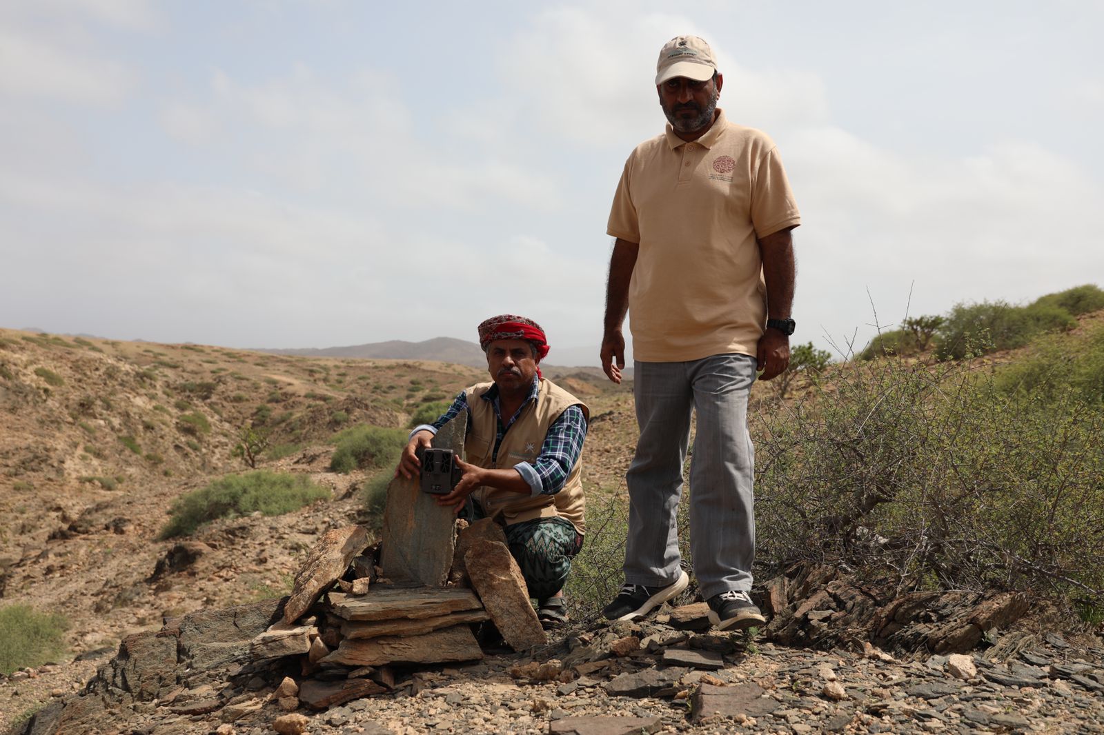 الفريق الميداني بهيئة البيئة يرصد 13 غزالًا عربيًّا بولاية سدح