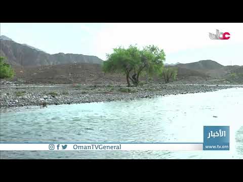 #أخبار_الخامسة | الجمعة 5 أغسطس 2022م