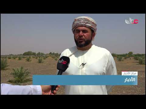 الحقول التجارية بولاية محضة تهدف إلى رفع انتاجية عدد من المحاصل التجارية