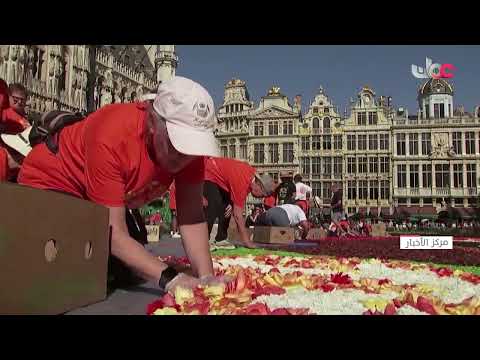 سجادة عملاقة من الزهور تزين بروكسل رغم حرارة الصيف