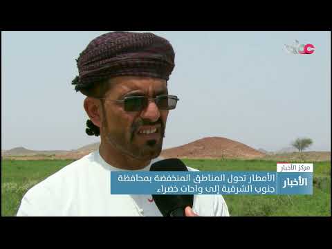 الأمطار تحول المناطق المنخفضة بمحافظة جنوب الشرقية إلى واحات خضراء