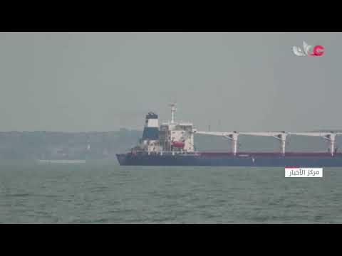 وزارة الدفاع التركية : أربع سفن  جديدة غادرت أوكرانيا محملة بزيت دوار الشمس والذرة