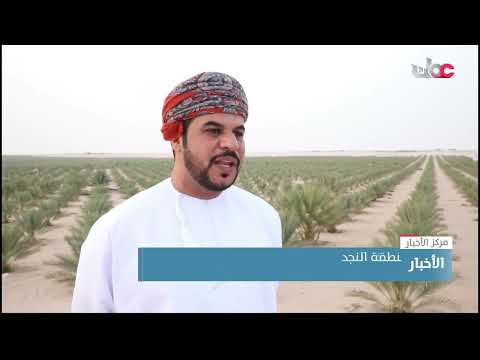 منطقة النجد بولاية مقشن تضم أكبر مزارع مشروع زراعة المليون نخلة