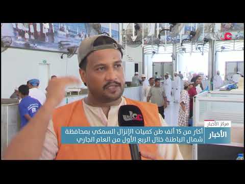 أكثر من 15 ألف طن كميات الإنزال السمكي بمحافظة شمال الباطنة خلال الربع الأول من العام الجاري