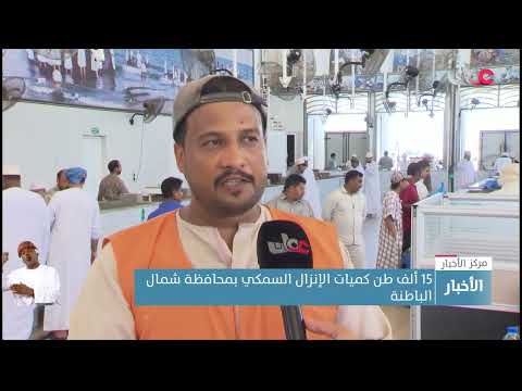 15 ألف طن كميات الإنزال السمكي بمحافظة شمال الباطنة