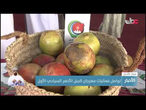 تواصل فعاليات مهرجان الجبل الأخضر السياحي الأول