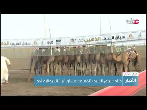 ختام سباق السيف الذهبي بميدان البشائر بولاية أدم