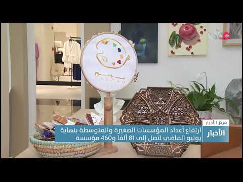 ارتفاع أعداد المؤسسات الصغيرة والمتوسطة بنهاية يوليو الماضي لتصل إلى 81 ألفا و460 مؤسسة