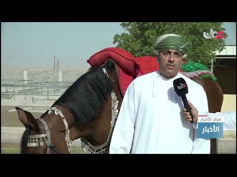 برامج صيفية لتدريب الفتيان والناشئة على ركوب الخيل وفنون التعامل معها بمحافظة الظاهرة