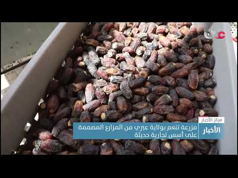 مزرعة تنعم بولاية عبري من المزارع المصممة على أسس تجارية حديثة