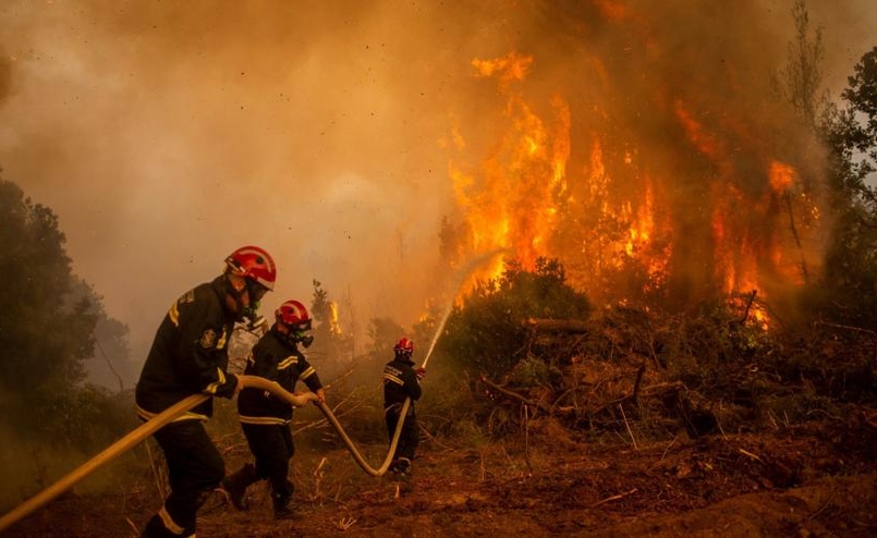 ارتفاع عدد ضحايا حرائق الغابات في الجزائر إلى37 شخصًا و183 مصابًا