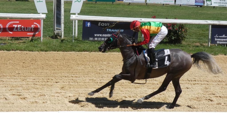 الفرس خالصة للخيالة السلطانية تفوز بكأس الوثبة على مضمار جرامات الفرنسي