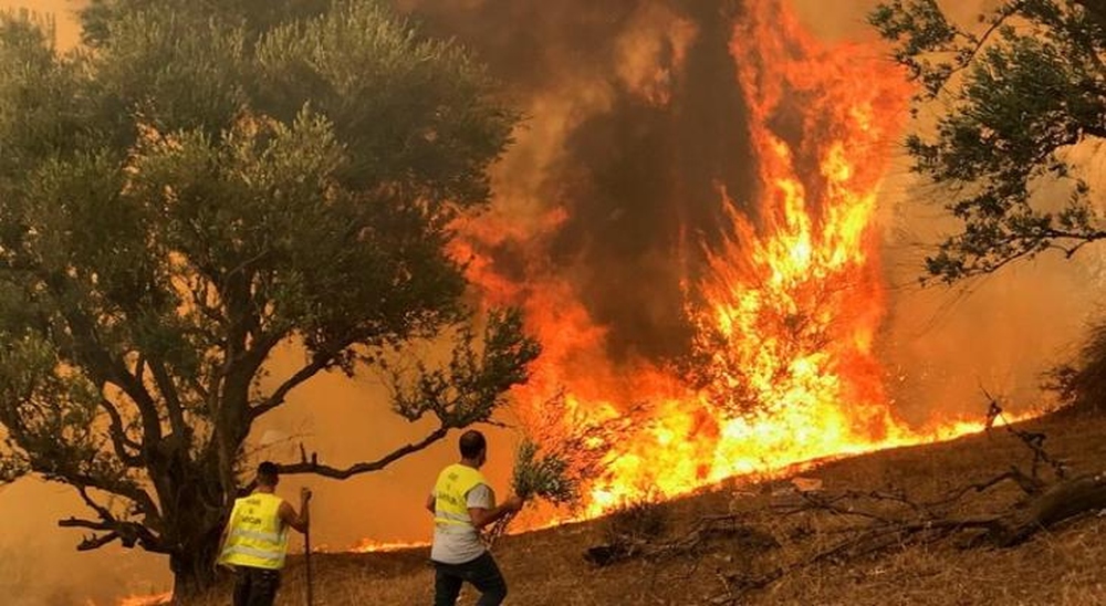 إخماد غالبية الحرائق المندلعة في عدة ولايات شمال الجزائر