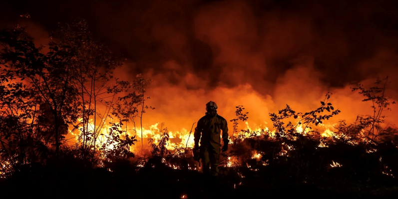 فرق الإطفاء تكافح حريق غابات في جنوب شرق إسبانيا