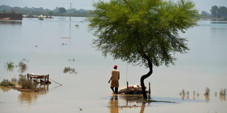 وزير خارجية باكستان ينشد مساعدة بلاده بعد فيضانات مدمرة