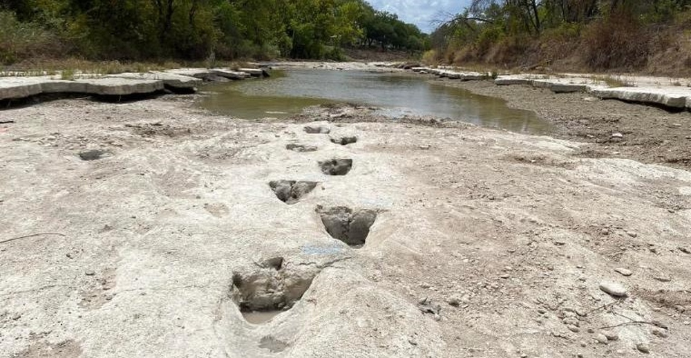 اكتشاف آثار جديدة لديناصورات بولاية تكساس الأمريكية