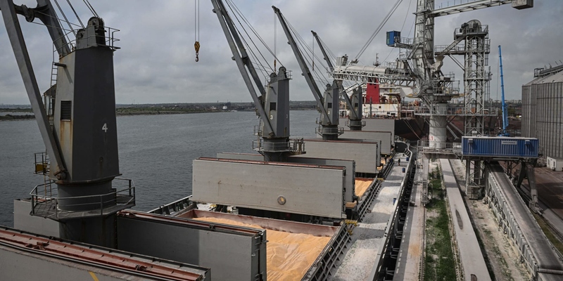 ألمانيا ترحب ببدء تصدير الحبوب من أوكرانيا وتعمل لإنشاء طرق بديلة