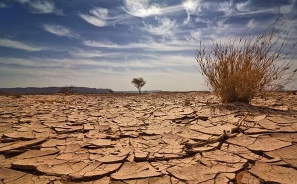 بريطانيا تعلن حالة الجفاف في أجزاء من إنجلترا وسط موجة حارة 1 بريطانيا تعلن حالة الجفاف في أجزاء من إنجلترا وسط موجة حارة