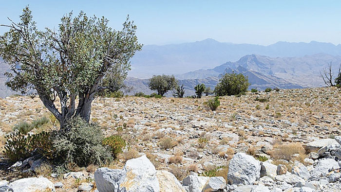 EA monitors air quality for pollution-free environment