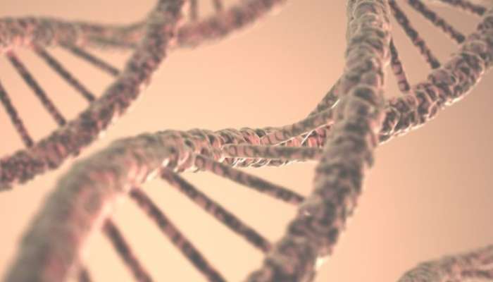 Saudi-German Genomic Centre to be established in Riyadh