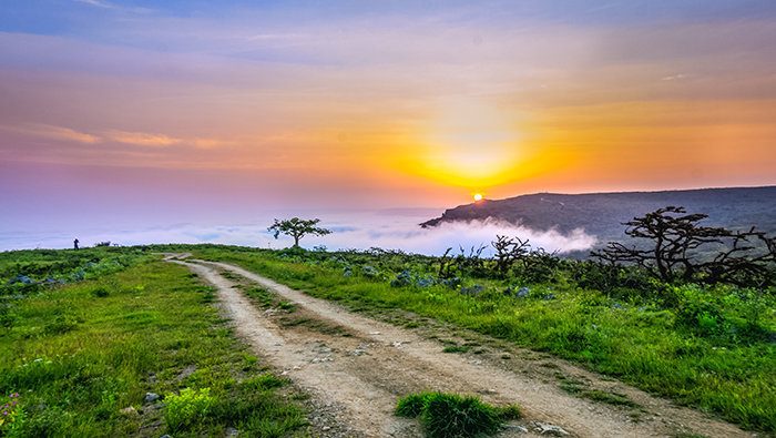 We Love Oman: Incredible view of Shaat in Dhofar