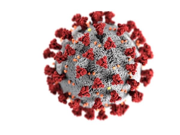 Research finds that viruses may have ‘eyes and ears’ on us