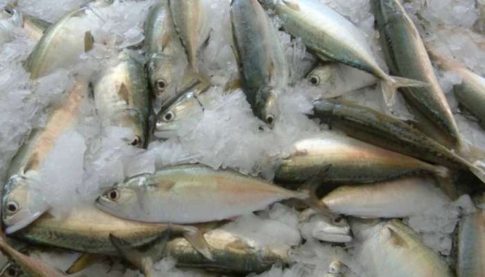 OMR35mn insured Omani export sales to UAE