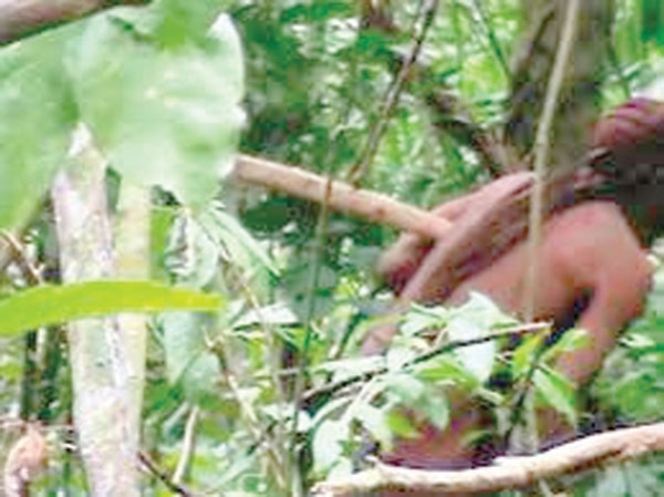 'Man of the hole' dies, last known survivor of Amazon tribe